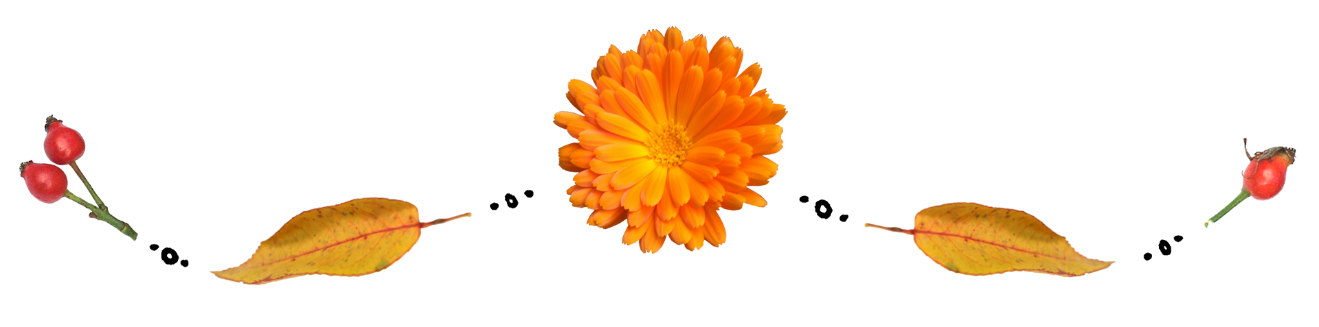 girlanda